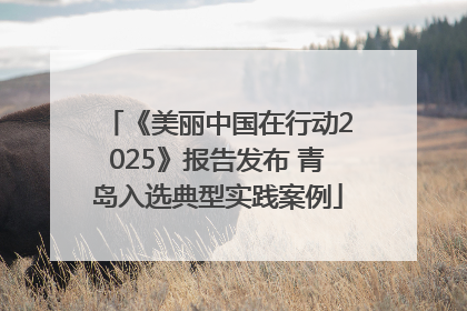 《美丽中国在行动2025》报告发布 青岛入选典型实践案例