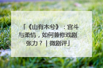 《山有木兮》：宫斗与柔情，如何兼修戏剧张力？｜微剧评