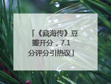 《藏海传》豆瓣开分，7.1分评分引热议
