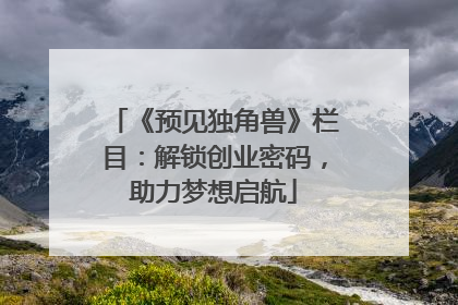 《预见独角兽》栏目：解锁创业密码，助力梦想启航