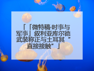 「微特稿·时事与军事」叙利亚库尔德武装称正与土耳其“直接接触”