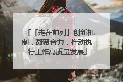 「走在前列」创新机制，凝聚合力，推动执行工作高质量发展