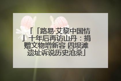 「路易·艾黎中国情」十年后再访山丹：捐赠文物增新容 四坝滩遗址诉说历史沧桑