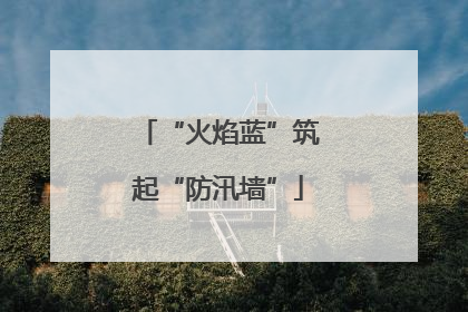 “火焰蓝”筑起“防汛墙”