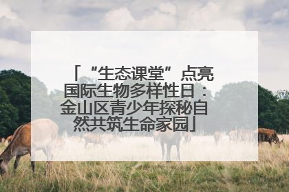 “生态课堂”点亮国际生物多样性日：金山区青少年探秘自然共筑生命家园