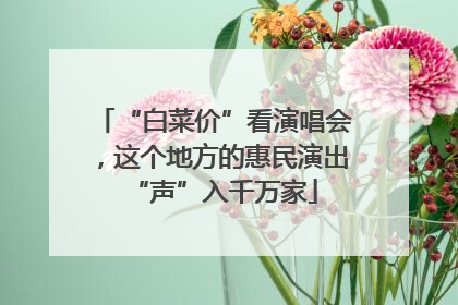 “白菜价”看演唱会，这个地方的惠民演出“声”入千万家