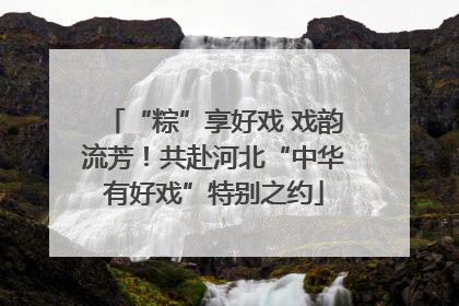 “粽”享好戏 戏韵流芳！共赴河北“中华有好戏”特别之约