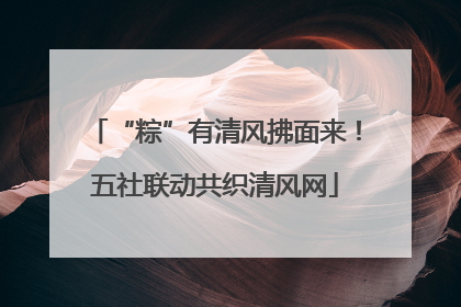 “粽”有清风拂面来！五社联动共织清风网
