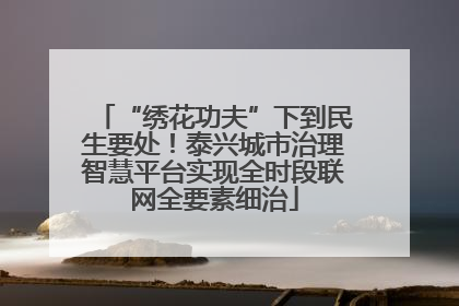“绣花功夫”下到民生要处！泰兴城市治理智慧平台实现全时段联网全要素细治