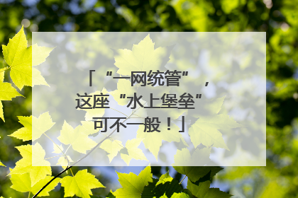 “一网统管”，这座“水上堡垒”可不一般！