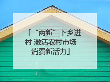 “两新”下乡进村 激活农村市场消费新活力
