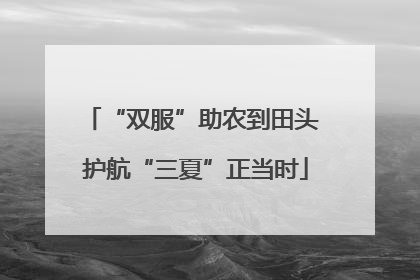 “双服”助农到田头 护航“三夏”正当时