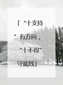 “十支持”有方向，“十不得”守底线