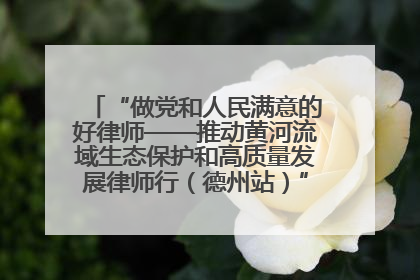 “做党和人民满意的好律师——推动黄河流域生态保护和高质量发展律师行（德州站）”活动成功举办