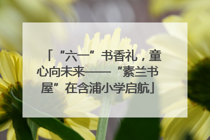 “六一”书香礼，童心向未来——“素兰书屋”在含浦小学启航