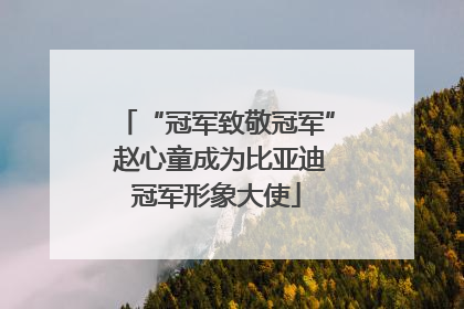 “冠军致敬冠军” 赵心童成为比亚迪冠军形象大使