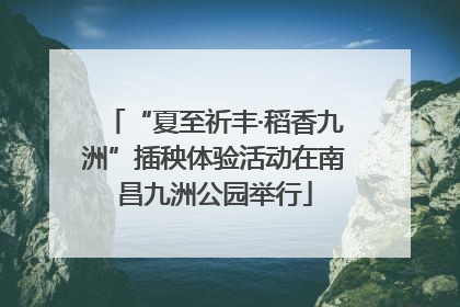 “夏至祈丰·稻香九洲”插秧体验活动在南昌九洲公园举行