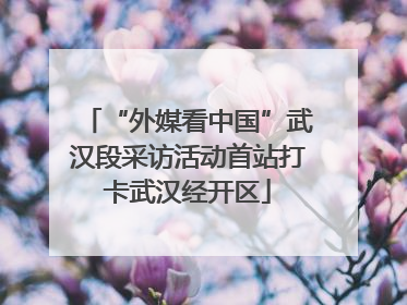 “外媒看中国”武汉段采访活动首站打卡武汉经开区