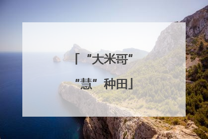 “大米哥”“慧”种田