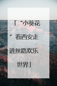 “小葵花”看西安走进丝路欢乐世界