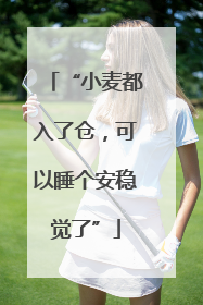 “小麦都入了仓，可以睡个安稳觉了”