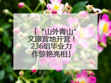 “山外青山”文旅营地开营！236组毕业力作惊艳亮相