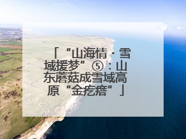 “山海情・雪域援梦”⑤：山东蘑菇成雪域高原“金疙瘩”