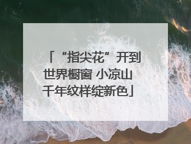 “指尖花”开到世界橱窗 小凉山千年纹样绽新色
