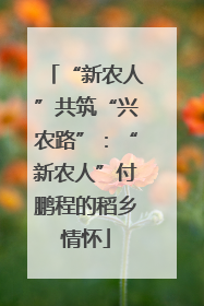 “新农人”共筑“兴农路”：“新农人”付鹏程的稻乡情怀