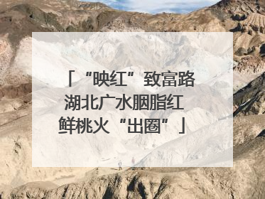 “映红”致富路 湖北广水胭脂红鲜桃火“出圈”