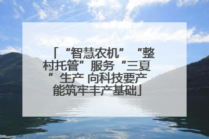 “智慧农机”“整村托管”服务“三夏”生产 向科技要产能筑牢丰产基础