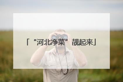 “河北净菜”靓起来