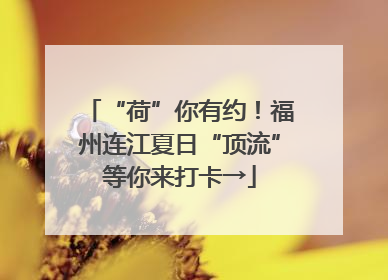“荷”你有约！福州连江夏日“顶流”等你来打卡→