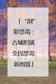 “荆”彩禁毒：古城织就全民禁毒新图景
