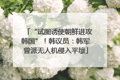 “试图诱使朝鲜进攻韩国”！韩议员：韩军曾派无人机侵入平壤