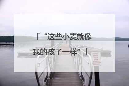 “这些小麦就像我的孩子一样”