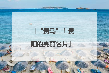 “贵马”！贵阳的亮丽名片