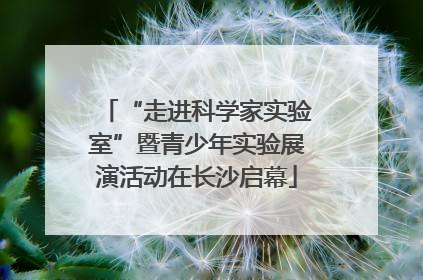 “走进科学家实验室”暨青少年实验展演活动在长沙启幕