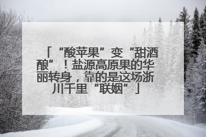 “酸苹果”变“甜酒酿”！盐源高原果的华丽转身，靠的是这场浙川千里“联姻”
