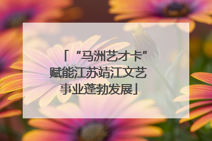 “马洲艺才卡”赋能江苏靖江文艺事业蓬勃发展