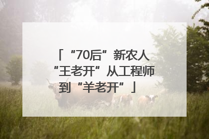 “70后”新农人“王老开”从工程师到“羊老开”
