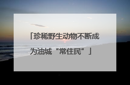 珍稀野生动物不断成为油城“常住民”