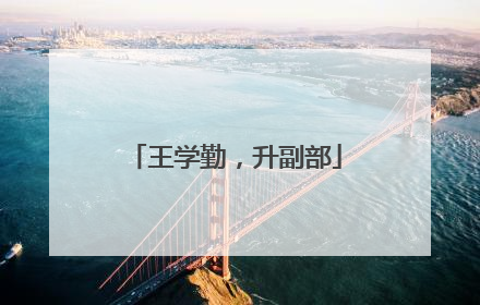 王学勤，升副部
