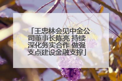 王忠林会见中金公司董事长陈亮 持续深化务实合作 做强支点建设金融支撑