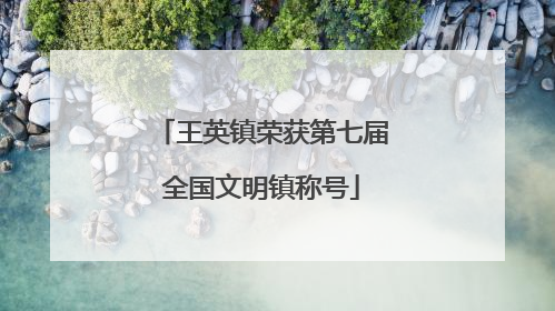 王英镇荣获第七届全国文明镇称号