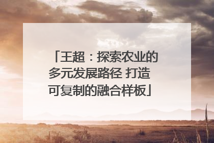 王超：探索农业的多元发展路径 打造可复制的融合样板