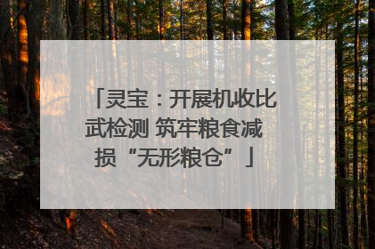 灵宝：开展机收比武检测 筑牢粮食减损“无形粮仓”