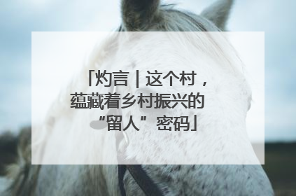 灼言｜这个村，蕴藏着乡村振兴的“留人”密码