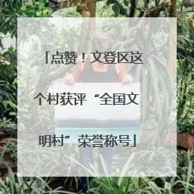 点赞！文登区这个村获评“全国文明村”荣誉称号