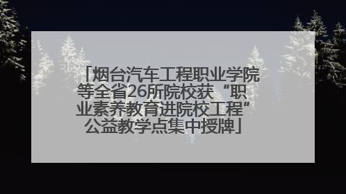 烟台汽车工程职业学院等全省26所院校获“职业素养教育进院校工程”公益教学点集中授牌